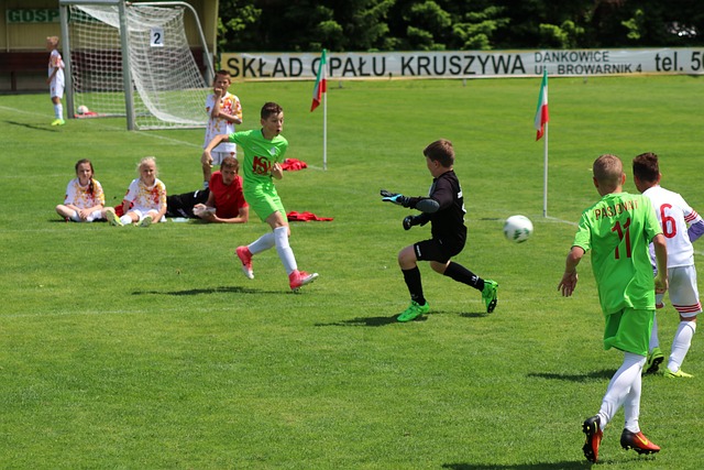 更是滑翔伞 更是滑翔伞