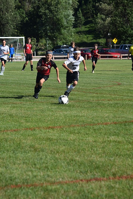 其中快速反 其中快速反