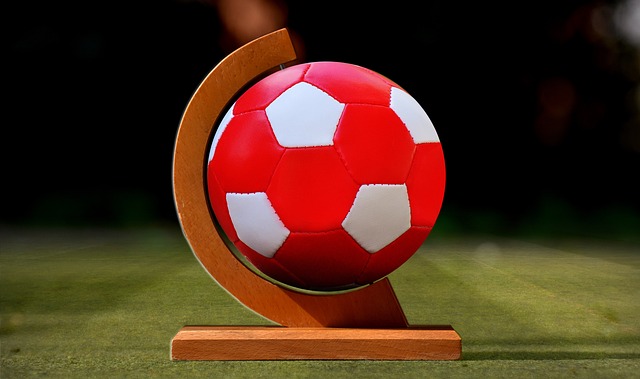 康状况的波 康状况的波