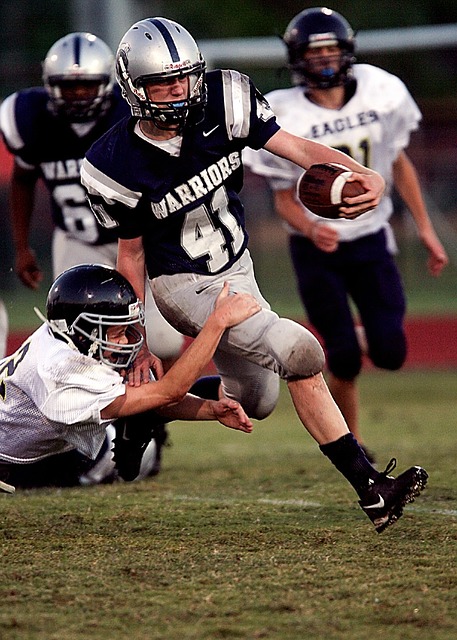 的巨大潜力 的巨大潜力