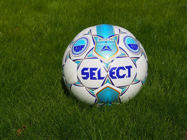 资料介绍 资料介绍