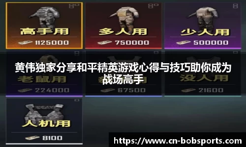 BOB半岛体育官方网站